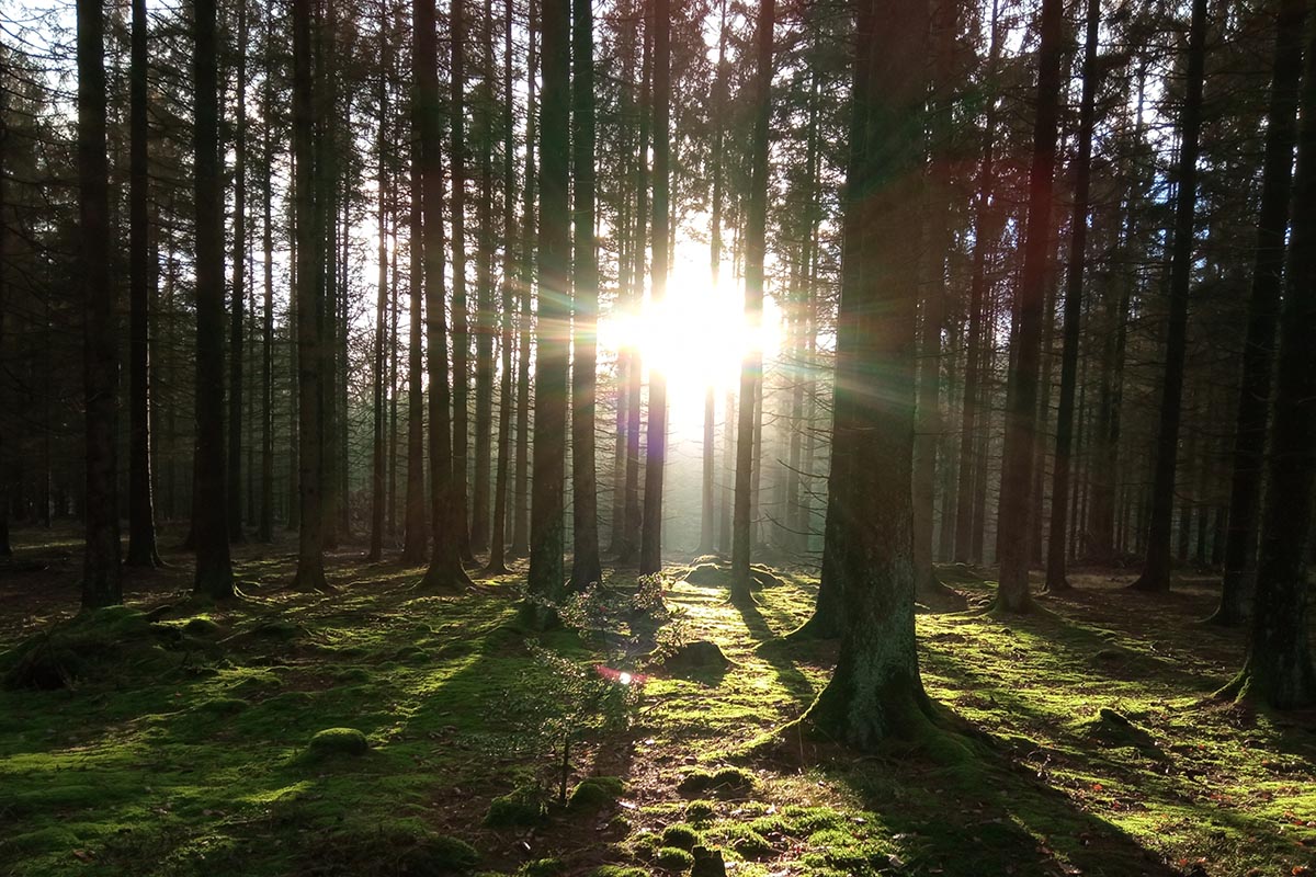 Lichtblick OberbergAktuell
